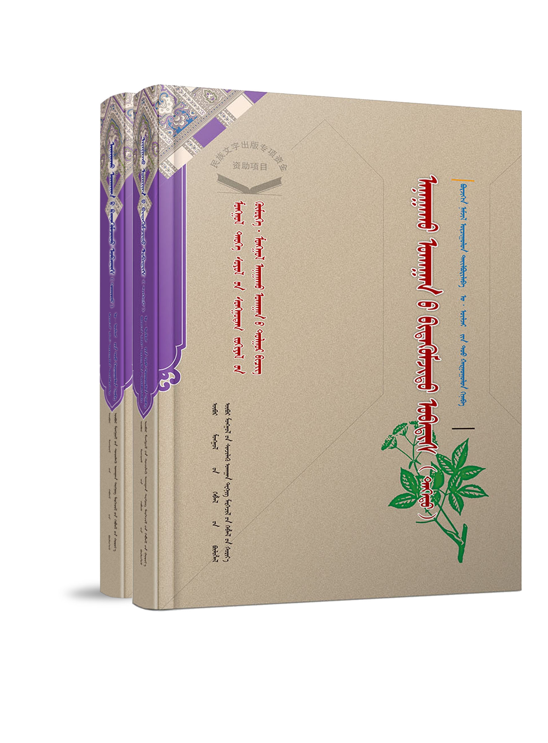 医学诀窍秘籍(上下)