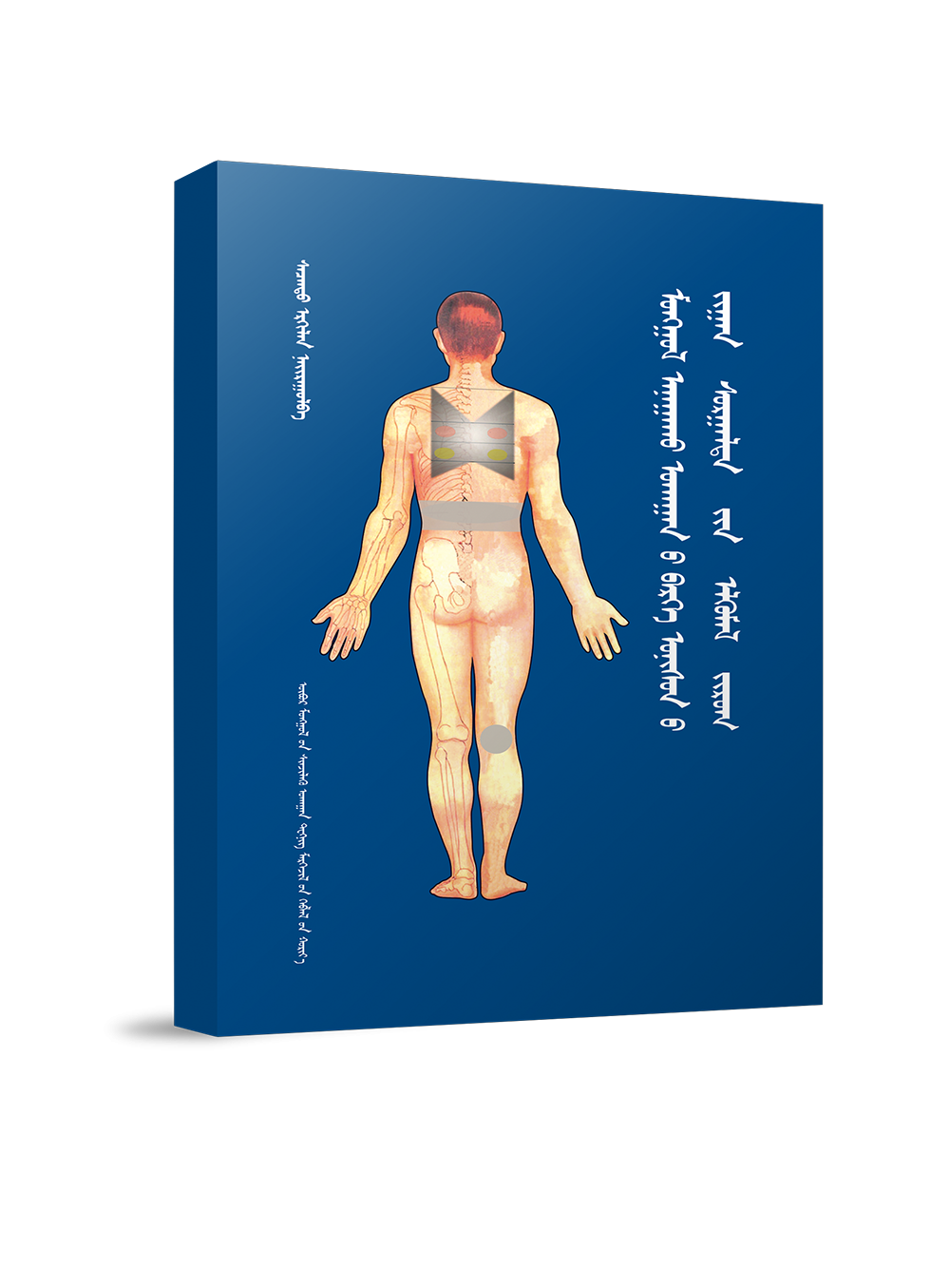 蒙医施术要害部位教学挂图